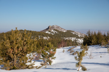 road and forest views from erciyes mountain