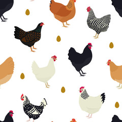 Farming today Chicken breeds Seamless pattern Flat   vector illustration Countryside and farmland - obrazy, fototapety, plakaty