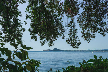 View of lake Garda through the dense foliage of trees. Italy. Soft focus, blurry background.