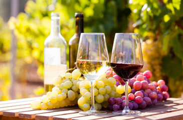 still life with glasses of red and white wine and grapes in field of vineyard