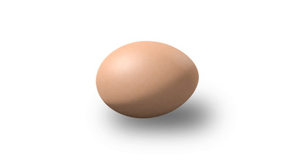 egg
