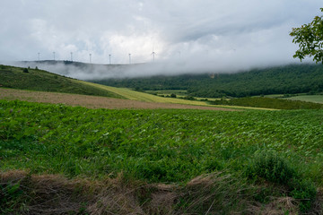 rural landscape with green field and cloudy  sky