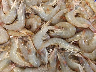 Frische Garnelen an einem Fischstand in der Markthalle von Santiago de Compostela