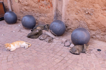 Marrakesh City in Morocco