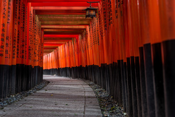 Fototapeta premium Red Torii of Fushimi Inari Shrine, Kyoto, Japan