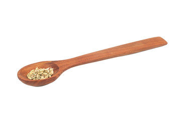 Dry fennel in spoon