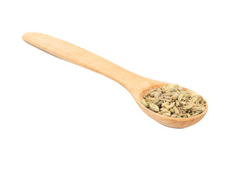 Dry fennel in spoon