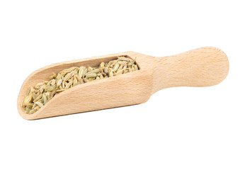 Dry fennel in scoop