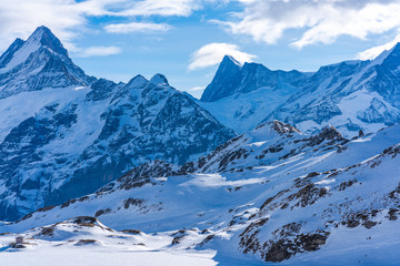 Obraz premium Winter landscape with snow covered peaks seen from the First mountain in Swiss Alps in Grindelwald ski resort, Switzerland