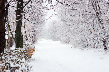 winter snowy street, frosty day