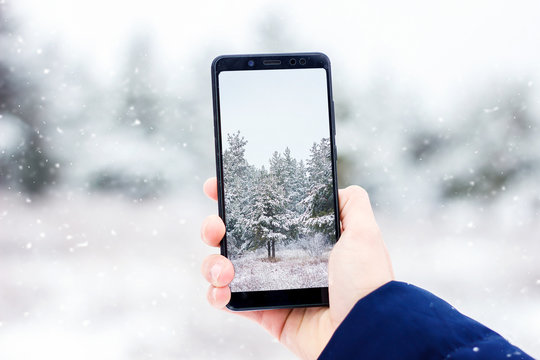 tourist takes pictures on the phone winter forest, Hiking in the winter forest, winter nature, frosty day