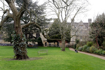 Gardens of Oxford University. Beautiful historical building with green lawn and trees in garden. Oxford campus.