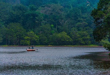 Beautiful boat ride through green nature heaven in Kerala freshwater lake in Wayanad, Indian travel and tourism image