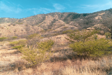 montaña desértica con pocos arboles y cielo azul