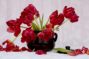 Bright red tulips on a brown pot with pink background