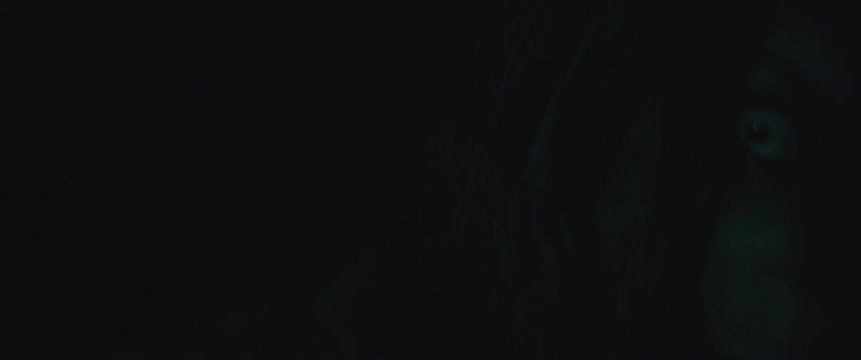 Terrifying creepy zombie woman with white eyes and scary look. Horror style shot