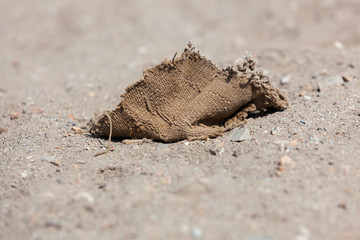 Ancient Cloth in the Sand