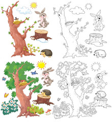 Four seasons. Spring, summer, autun and winter in the forest. Coloring page. Illustration for children. Cute and funny cartoon characters