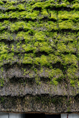 Roof of an old wooden building covered with thatched roof and moss.