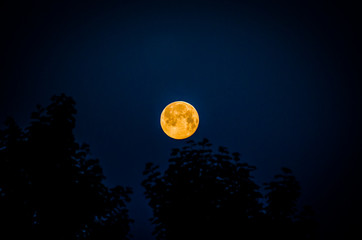 Dortmund Lanstrop am See bei Sonnenaufgang