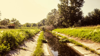 Overgrown Canal Next to Trees and Meadow