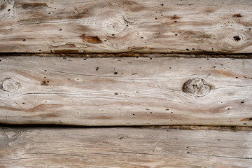 Texture od wooden planks. Wall made of antique wood. Raw wood after century. Wood damaged by bark beetles. - obrazy, fototapety, plakaty