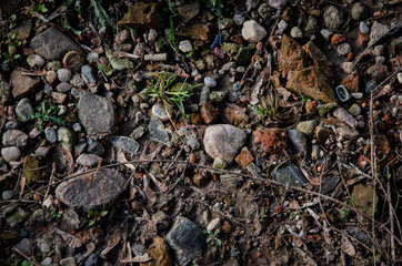  ground