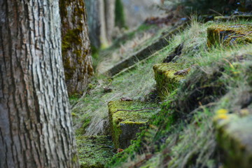 In Zschopau auf dem Friedhof