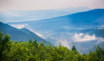 Carpathian mountains landscape