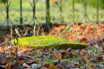 In Zschopau auf dem Friedhof