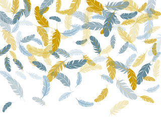 Detailed majestic feather on white design.