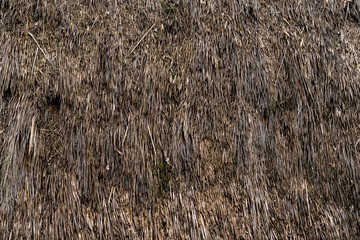 Roof of an old wooden building covered with thatched roof and moss.