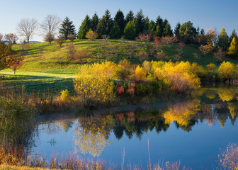 Morning light on fall colors reflecting in a small pond.