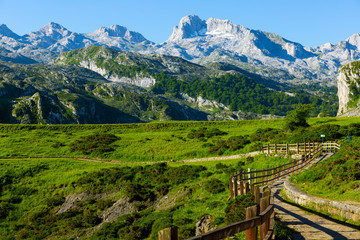 Fototapeta na wymiar Mountain landscape of Picos de Europa, Spain