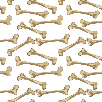 Seamless vector pattern - skeleton bones on a white background. Wallpaper, packaging for a party of pirates, food for a dog.