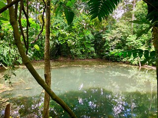 San Carlos, Province d'Alajuela Costa Rica
