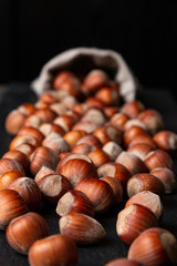 Hazelnuts in shells fall out of a linen bag on a dark background. Front view.