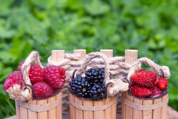 Red raspberries, black blackberries, wild strawberries in wooden small buckets on natural green background.Collection of wild berries by close up.Selective focus.Concept of healthy vitamin food, diet.