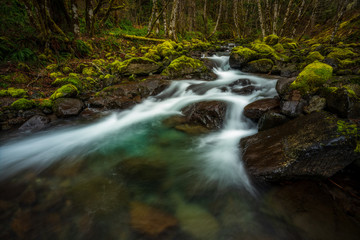 Obraz premium Tumble Creek flowing through the forest
