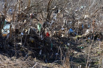plastic bags and waste on tree branches by the river