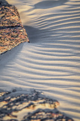 Ripples in the sand