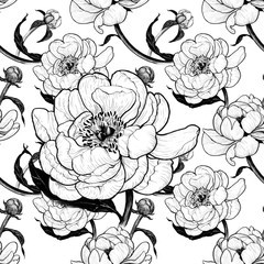 Peonies - flowers and leaves on a white background. Ink. Seamless patterns. Use printed materials, signboards, posters, postcards, packaging.
