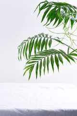 Greeting corner frame from green twigs of tropical exotic palm leaves above textile white background.