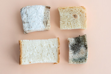 choice between four pieces of white bread covered with  different types of  mold lie on a light orange background, wrong storage of goods, unhealthy food, space for text