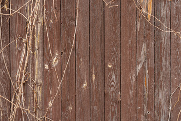 Texture od wooden planks. Wall made of old wood. - obrazy, fototapety, plakaty
