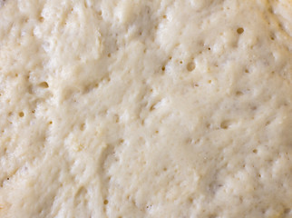 The texture of the yeast dough is close-up