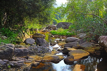 Naklejka na ściany i meble river stream in the forest