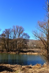 trees in autumn by the river