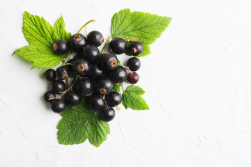 Black berries with green leaves on white texture background with copy space © karlevana