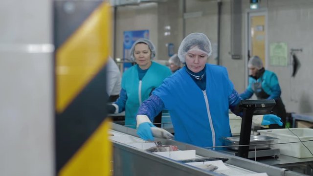 Female controllers sorting fish in plastic containers at seafood factory. Transporting mechanism is relocating fish for processing.